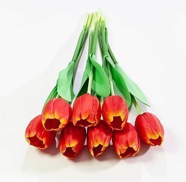 Тюльпан одиночный от магазина KALINA являющийся официальным дистрибьютором в России 