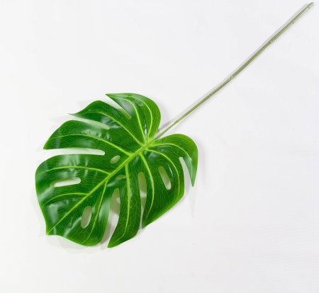 картинка Лист монстеры 2 от магазина KALINA