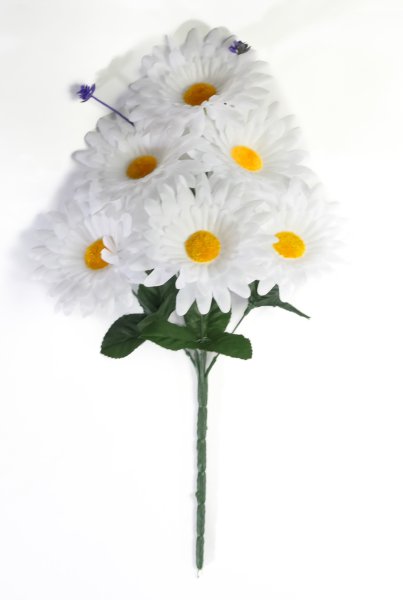 Ромашка "Белый ковер малая"