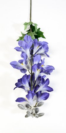 Дельфиниум с крупными соцветиями фиолетовый