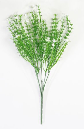 Мелкоцвет Полевой