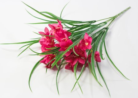 Букет нарцисса 15 цветков