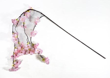 Яблоня свисающая нежно-розовая