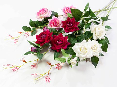 Ветка розы "Беролина" от магазина KALINA являющийся официальным дистрибьютором в России 