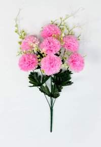 Хризантема "Бигуди"   7 цветков