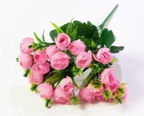 Роза Пицея 21 цветок