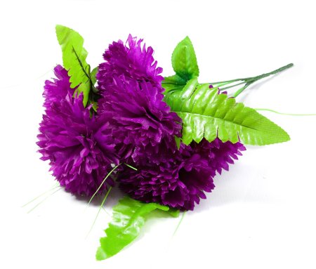 Букет гвоздики "Блеск" 7 цветков