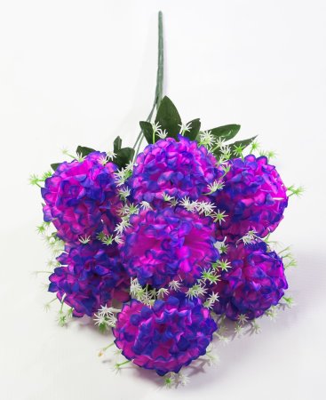 Шафран "Лиза" 7 цветков