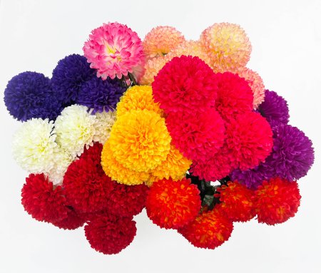 Хризантема "Дыхание заката" 7 цветков