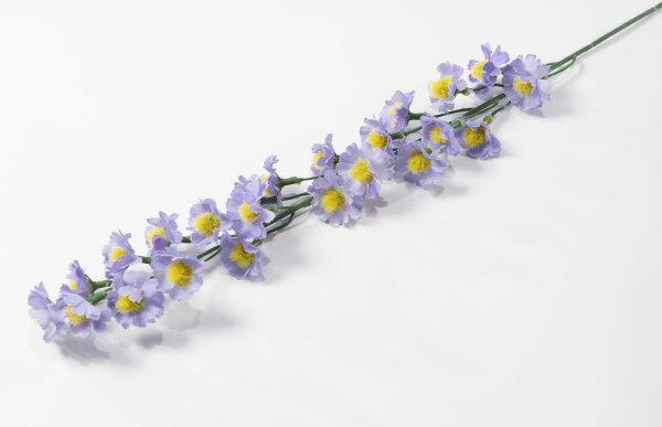 Ветка ромашек "Суприм мелкая"