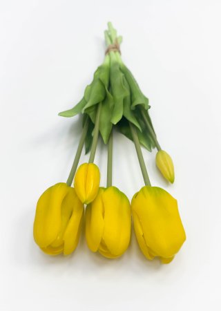 Тюльпан "Корона весны" желтый