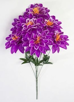 Георгин "Вилена" 7 цветков от магазина KALINA являющийся официальным дистрибьютором в России 