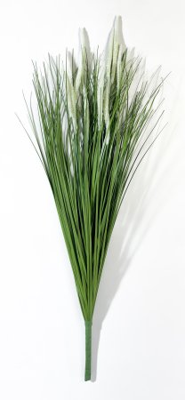 картинка Пеннисетум (Лисий хвост) 75 см 11 веток от магазина KALINA