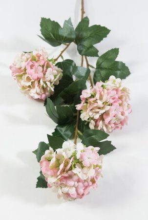 Калина Бульденеж розовая