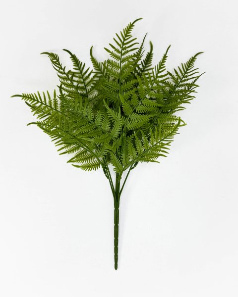 картинка Даваллия Мариса  от магазина KALINA