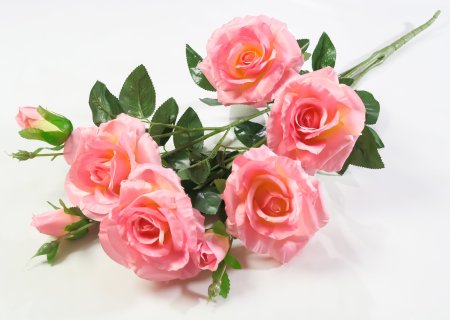 Ветка розы "Вега" 5 цветков 3 бутона