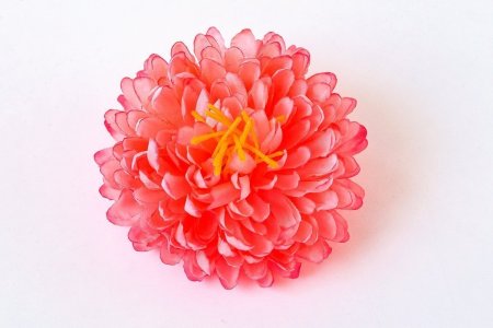 Насадка георгина "Ундина"