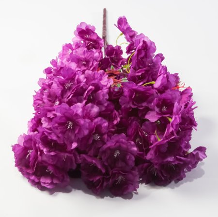 Ветка яблони 5 веток