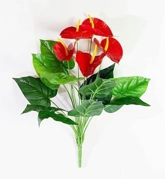 Антуриум 5 цветков от магазина KALINA являющийся официальным дистрибьютором в России 