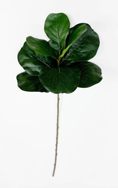 картинка Лирата темно-зеленая 9 листов от магазина KALINA