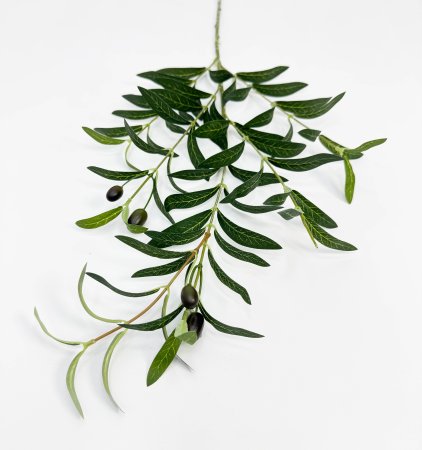 картинка Олива ветка "Турецкая" от магазина KALINA