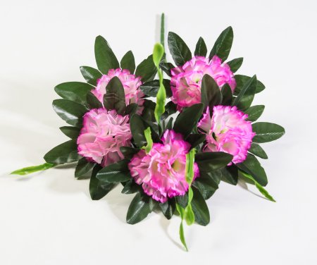 Букет гвоздик "Вихрь" 5 цветков