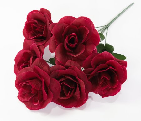 Букет роз Астолат 6 цветков