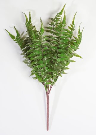 картинка Ветка оноклеи от магазина KALINA