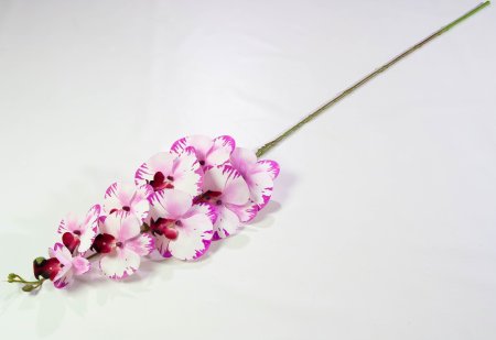 Ветка орхидеи 20