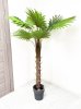 Пальма Вашингтония 180 см БЕЗ КАШПО