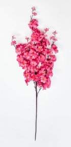 Сакура "Ветка Ханами" малиновая