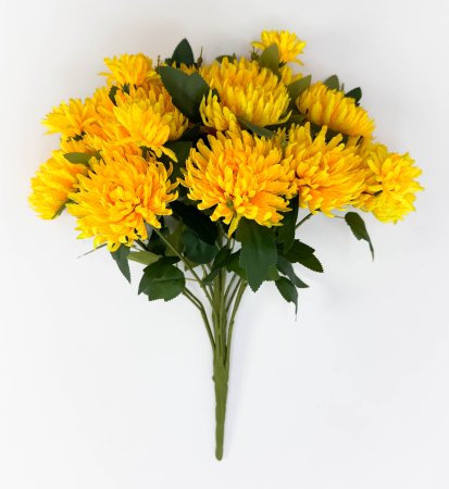 Астра "Павлин" 15 цветков 6 бутонов