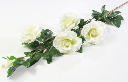 Роза Звездочет 4 цветка 1 бутон