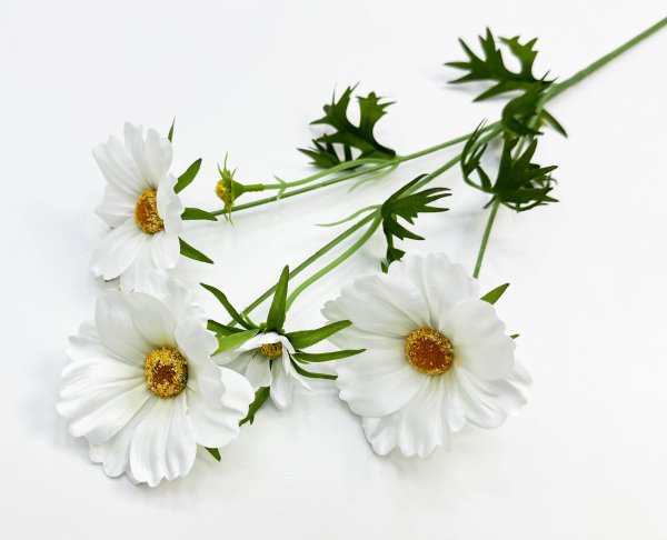 Георгин белый 3 цветка