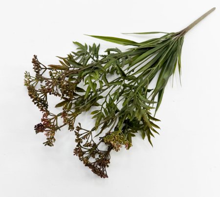 Тысячелистник розово-коричневый