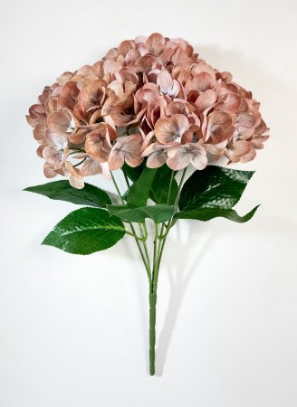 Букет гортензий 5 веток персик