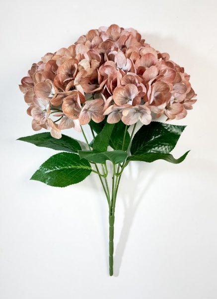 Букет гортензий 5 веток персик
