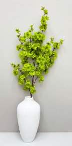 Сакура "Ветка Ханами" зеленая