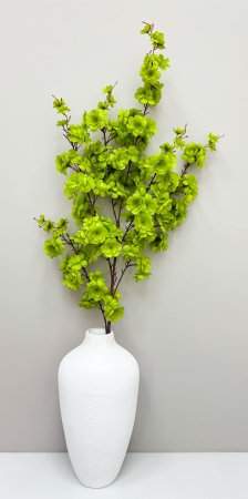 Сакура "Ветка Ханами" зеленая