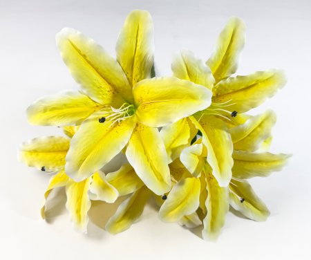 Букет лилий "Бодор" 5 цветков