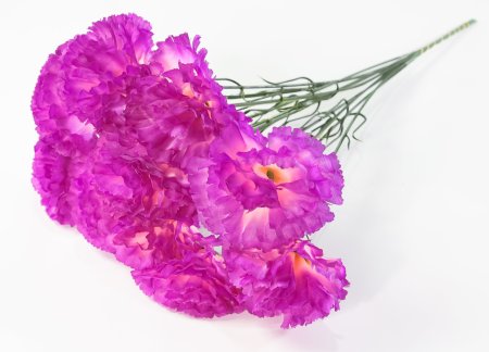 Гвоздика штучка