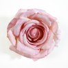 Насадка розы Свадьба нежно-розовая