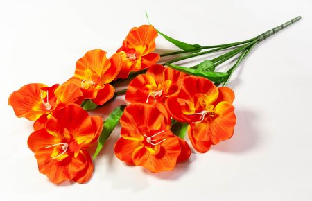 Букет орхидеи 10 веток 10 цветков