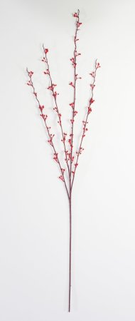 Ветка с мелкими почками