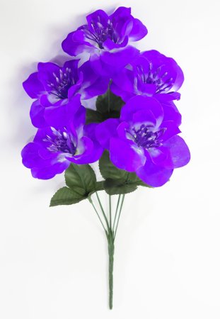 Нарцисс "Джувел" 5 цветков