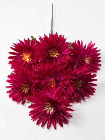 Хризантема "Китти" 7 цветков