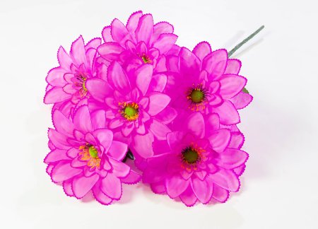 Лопух "Фабио" 6 веток