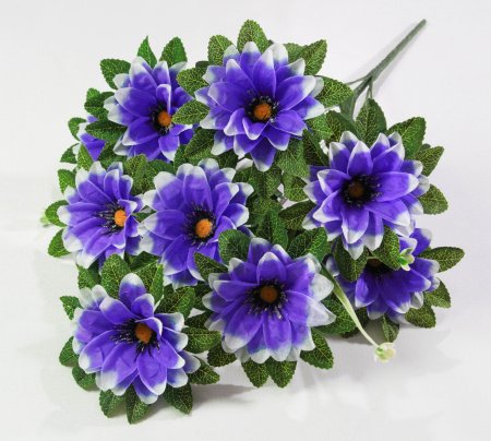 Георгин "Дуэт" 9 цветков 