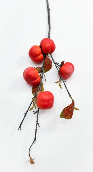 Хурма 5 плодов