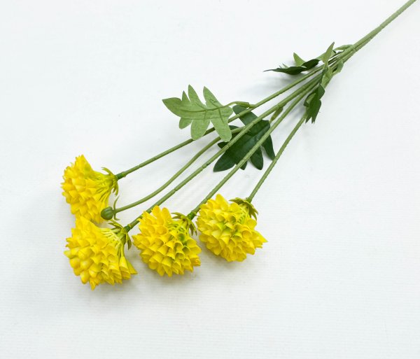 Георгин помпонный желтый